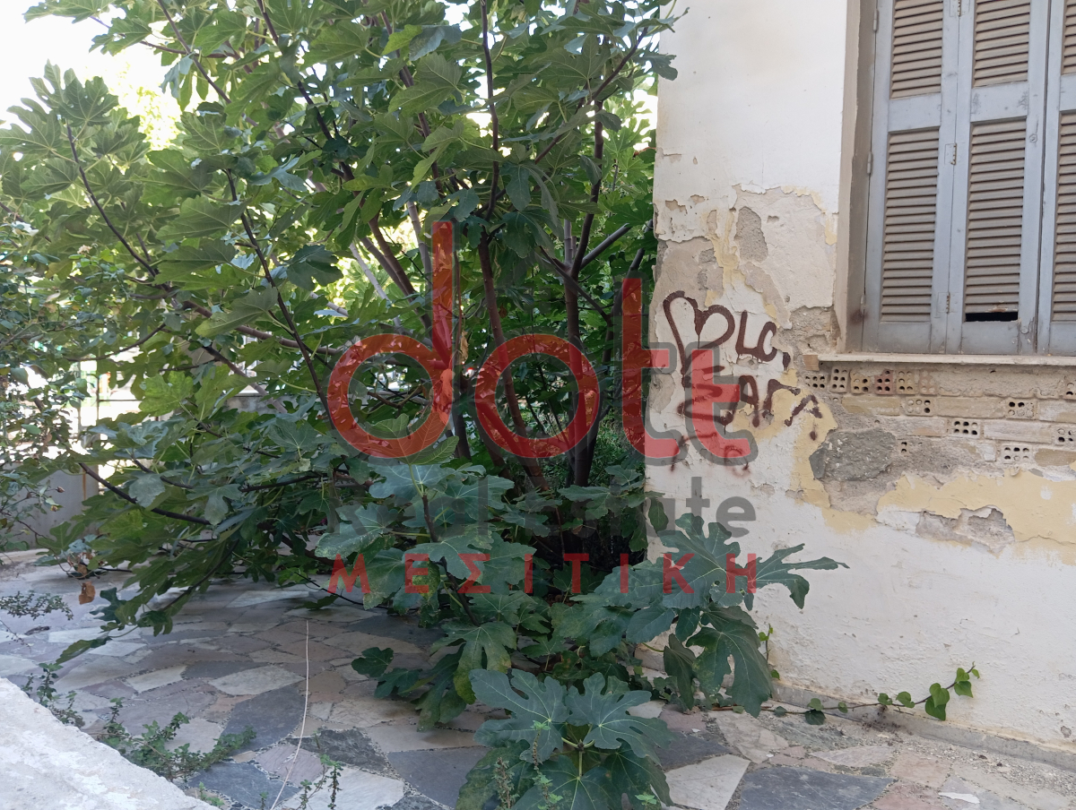 property-img